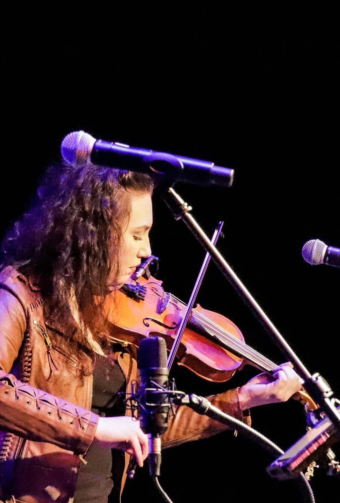 fiddle3