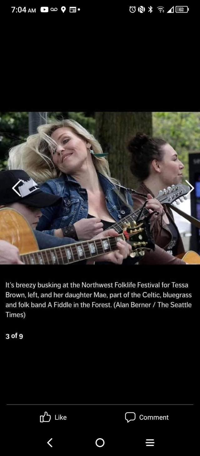 fiddleinthefores